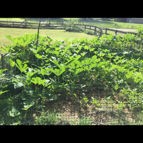 Meet your Posher, Janet - Picture 11 of 16